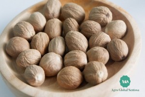 Nutmeg ABCD from Indonesia